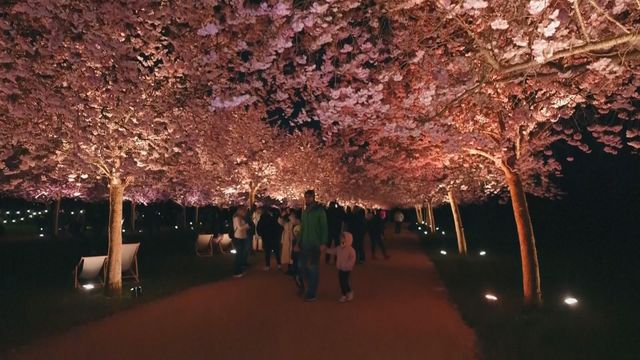 無綫新聞 TVB News