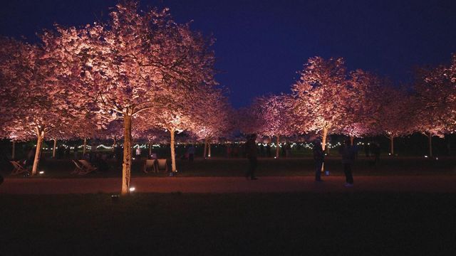 無綫新聞 TVB News