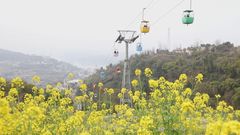 Unlock new experience of spring travel with cable car in Chongqing
