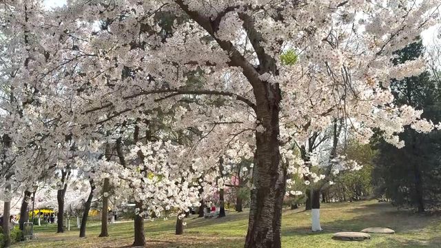 無綫新聞 TVB News