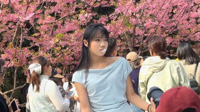 無綫新聞 TVB News