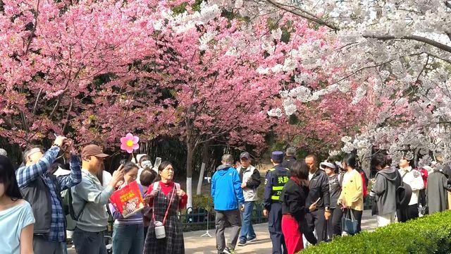 無綫新聞 TVB News