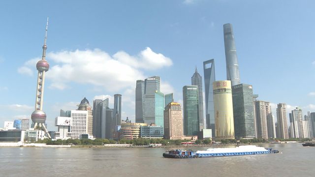 金磚國家新開發銀行首次在內地發行雙向回撥機制70億元人民幣熊貓債券 金磚國家新開發銀行首次在內地發行雙向回撥機制70億元人民幣熊貓債券