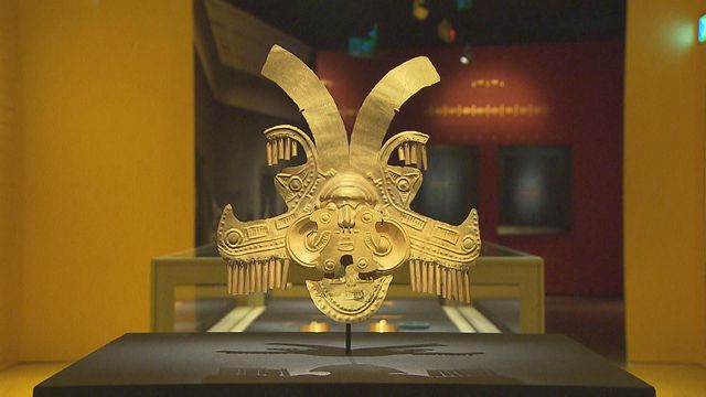 無綫新聞 TVB News