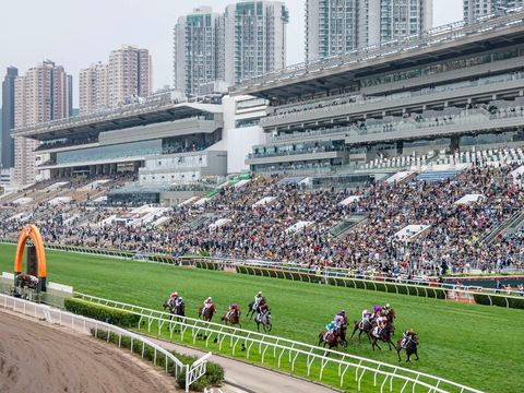 周末好去處｜冠軍賽馬日4月26日沙田上演　三項一級賽全球精英對壘
