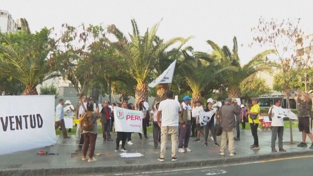 Peru voters protest against delayed counting