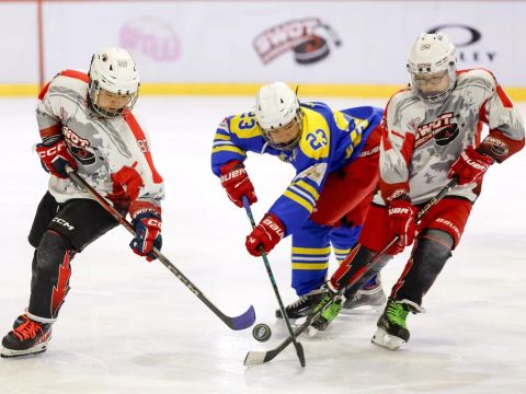 無綫新聞 TVB News