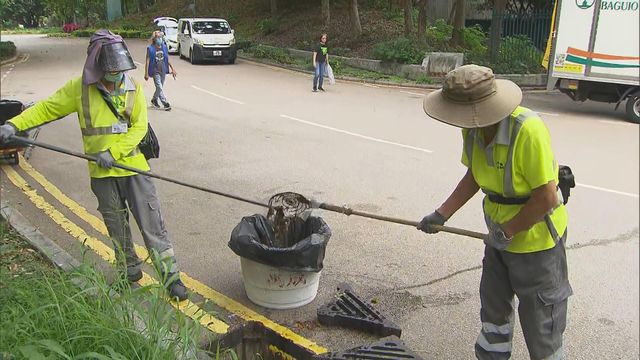 登革熱傳播途徑只有蚊？有何治療及預防方法？｜延伸閱讀