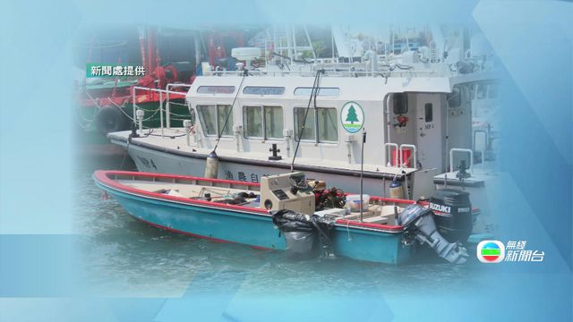 兩名內地人涉本港水域非法潛捕　漁護署調查