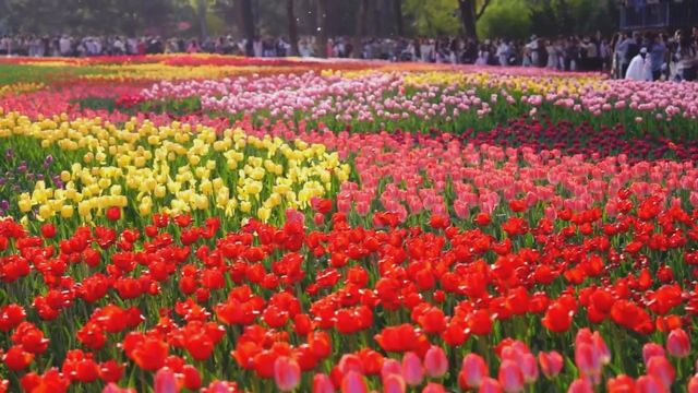 無綫新聞 TVB News