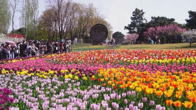 無綫新聞 TVB News