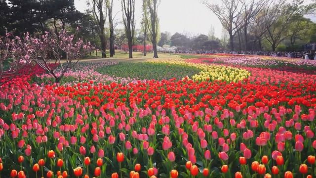 無綫新聞 TVB News