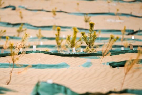 新華社：中國治沙方案貢獻全球　人民日報：中柬2+2戰略對話　央視：美麗中國建設全面推進｜內媒要聞