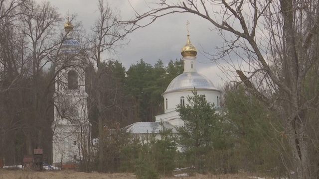 無綫新聞 TVB News