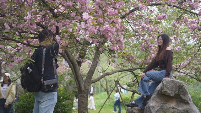 無綫新聞 TVB News