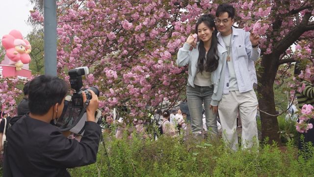 無綫新聞 TVB News