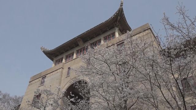 無綫新聞 TVB News