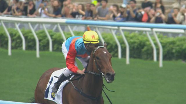 香港馬王「嘉應高昇」勝出「主席短途獎」　蟬聯短途三冠