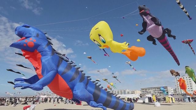 無綫新聞 TVB News