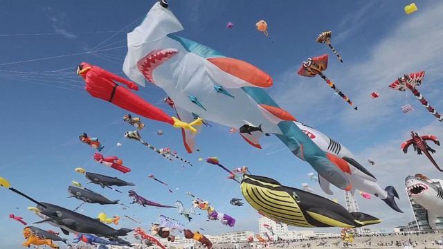 無綫新聞 TVB News