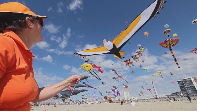 無綫新聞 TVB News