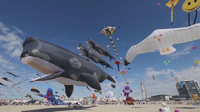 無綫新聞 TVB News