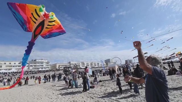 無綫新聞 TVB News