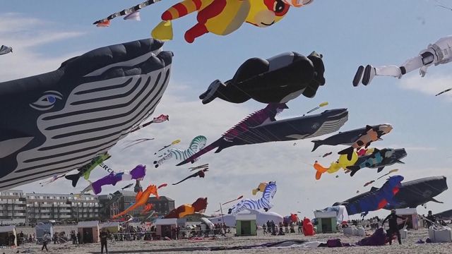 無綫新聞 TVB News