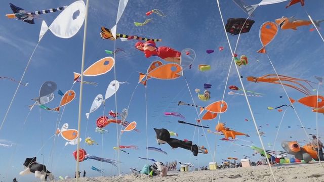 無綫新聞 TVB News