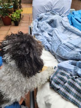 無綫新聞 TVB News