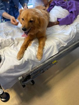 無綫新聞 TVB News