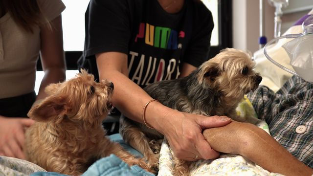 無綫新聞 TVB News