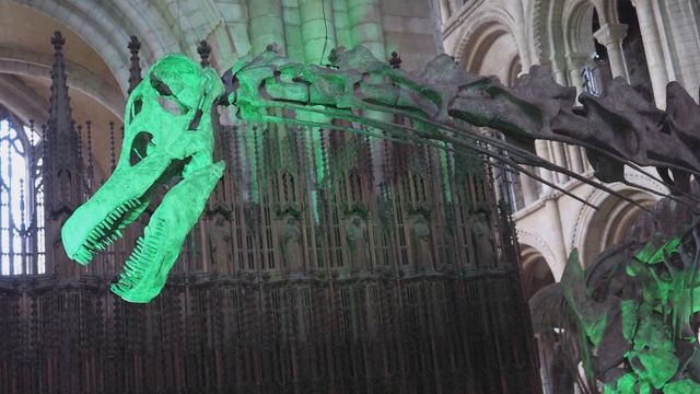 無綫新聞 TVB News