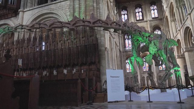 無綫新聞 TVB News