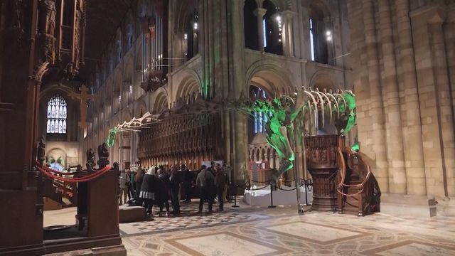 無綫新聞 TVB News