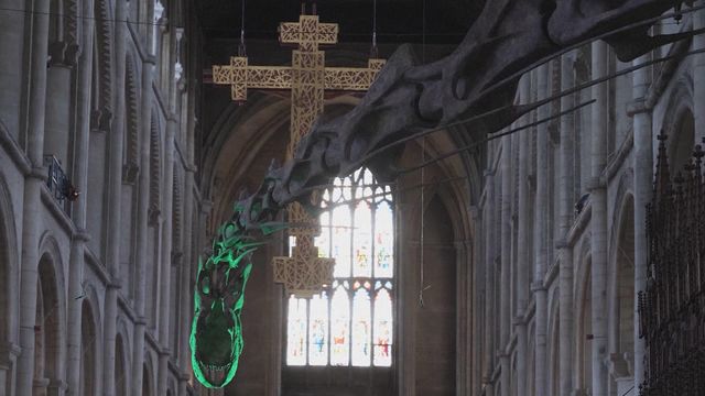 無綫新聞 TVB News