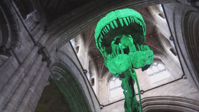 無綫新聞 TVB News