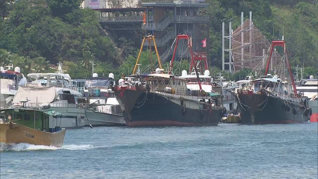 漁農業可持續發展藍圖涵蓋八大發展範疇 推動建立優勢邁向規模經濟|延伸閱讀 漁農業可持續發展藍圖涵蓋八大發展範疇 推動建立優勢邁向規模經濟|延伸閱讀