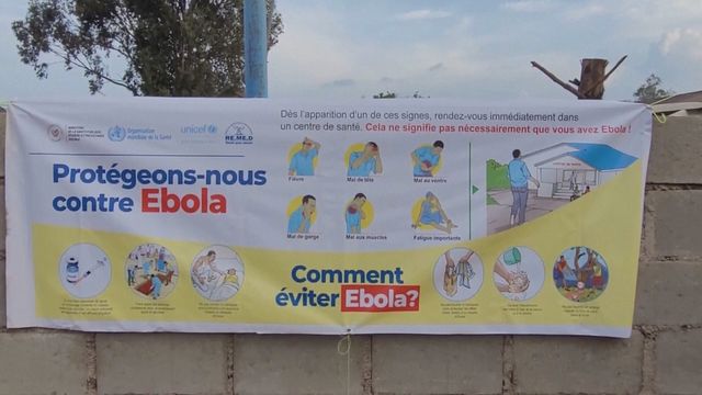 Wrong test assisted the spread of Ebola, experts say