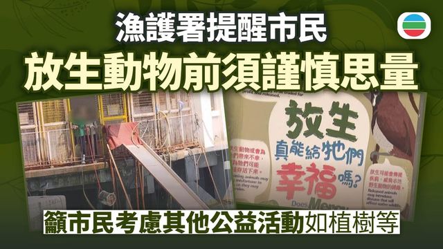 周日佛誕　漁護署提醒市民放生動物前須謹慎思量
