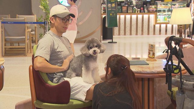 狗隻入食肆｜最快7月獲准進入　每位成人食客不宜攜帶多於兩隻