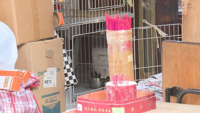 Suspected animal cruelty case in Hung Hom with cat allegedly poisoned Suspected animal cruelty case in Hung Hom with cat allegedly poisoned
