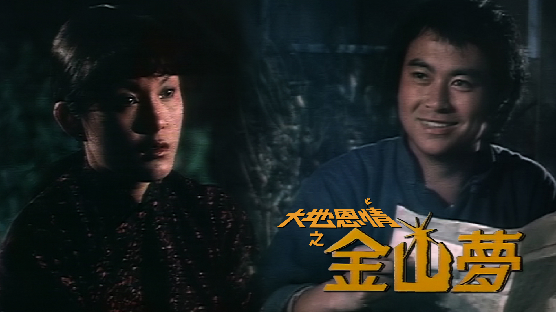 大地恩情之金山梦