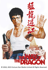 猛龙过江 (4K版)