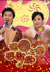 2007 猪圆玉润迎新岁