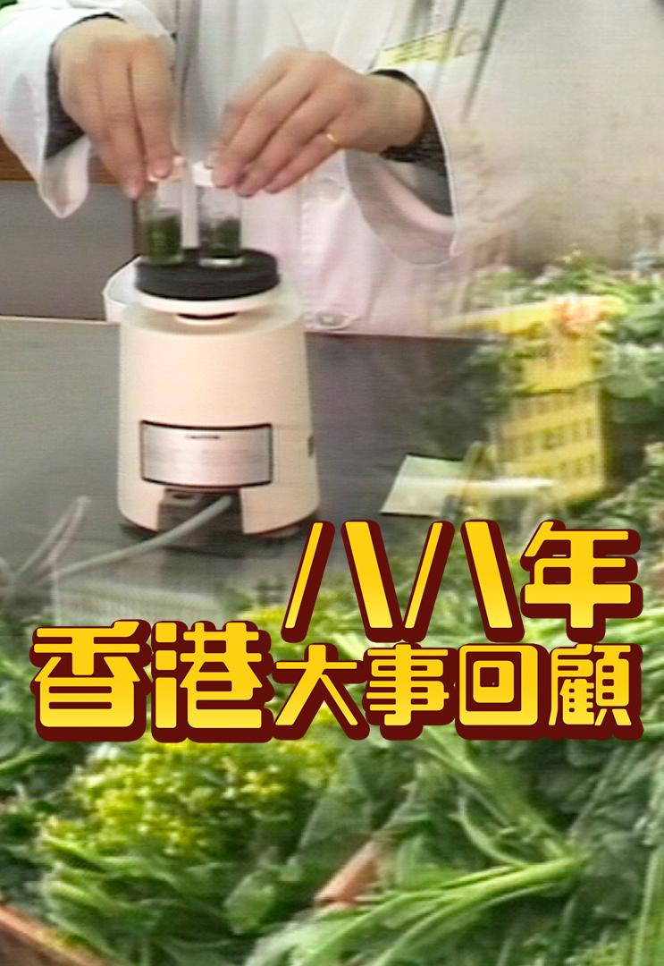 八八年香港大事回顾