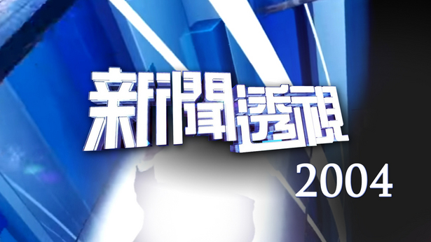 新闻透视(2004)