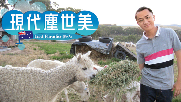 现代尘世美(V) 2011