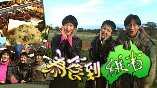 为食到维省 1996