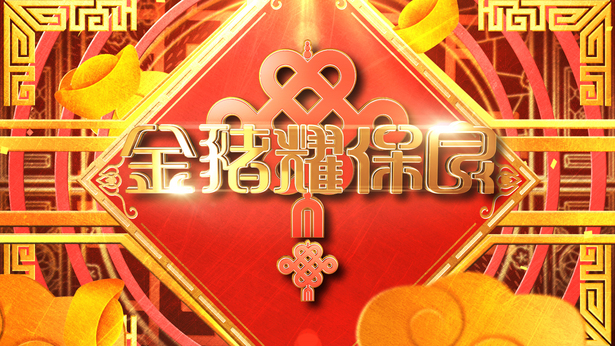 2019 金猪耀保良